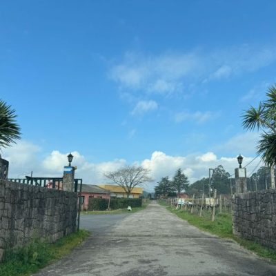 entrada viñedo entrada viñedo